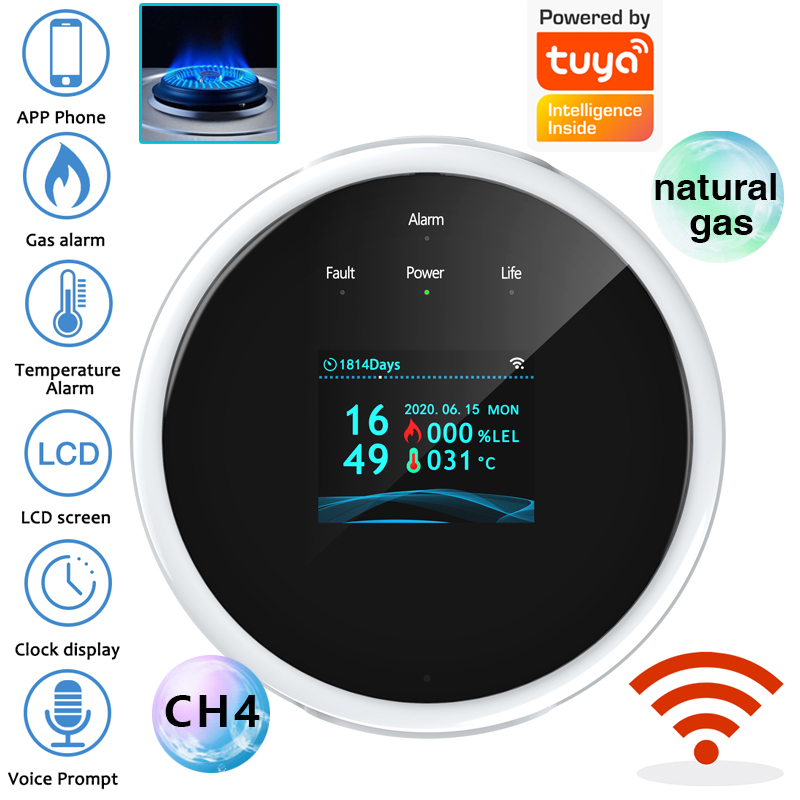 2.4G WiFi Gas Alarm Sensor Com - огляд і ціна Home Security Systems